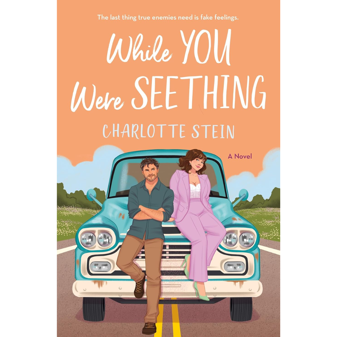 While You Were Seething By Charlotte Stein