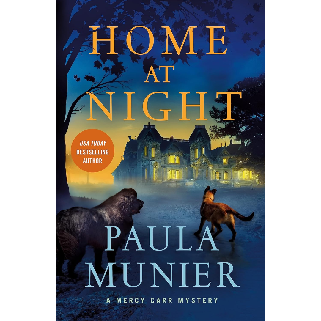 Home at Night By Paula Munier