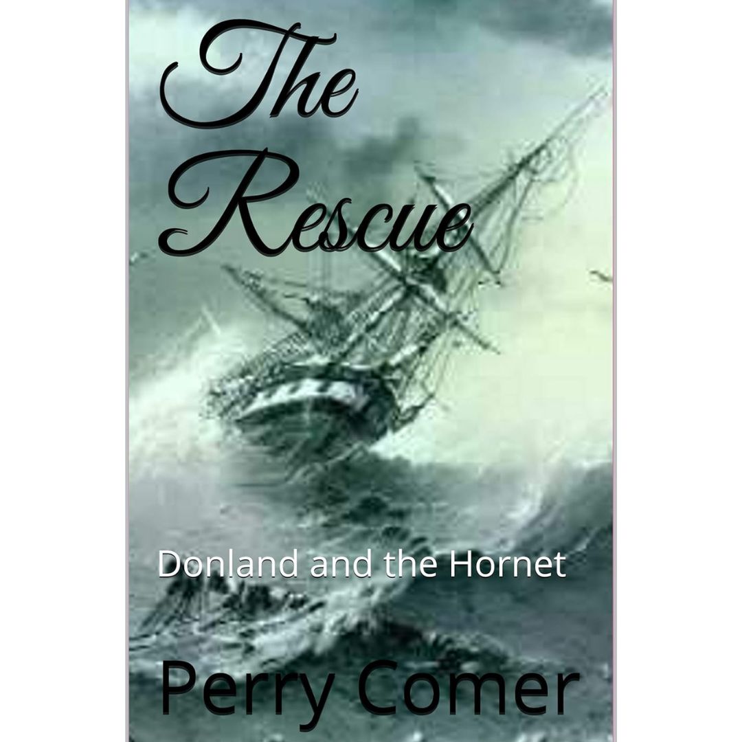The Rescue by Perry Comer