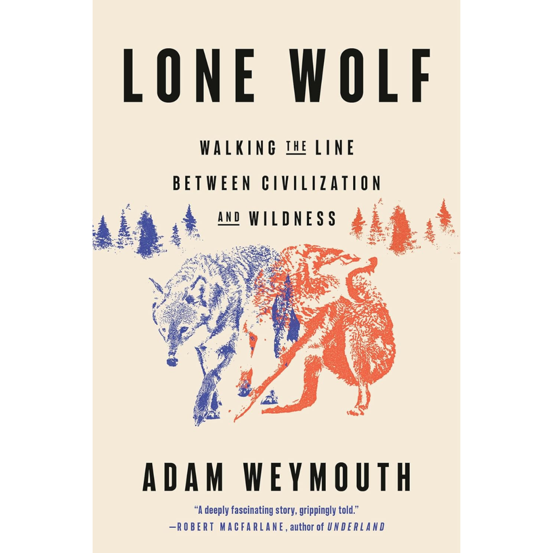 Lone Wolf: Walking the Faultlines of Europe By Adam Weymouth