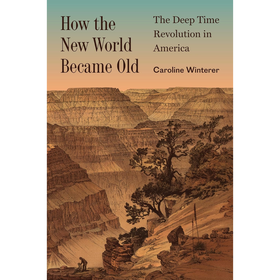 How the New World Became Old By Caroline Winterer