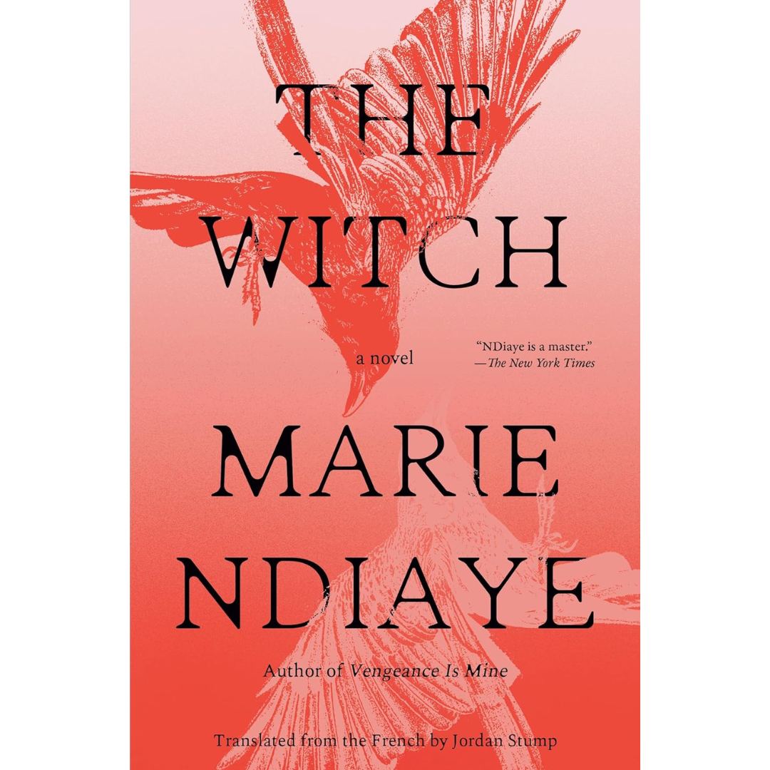 The Witch By Marie NDiaye