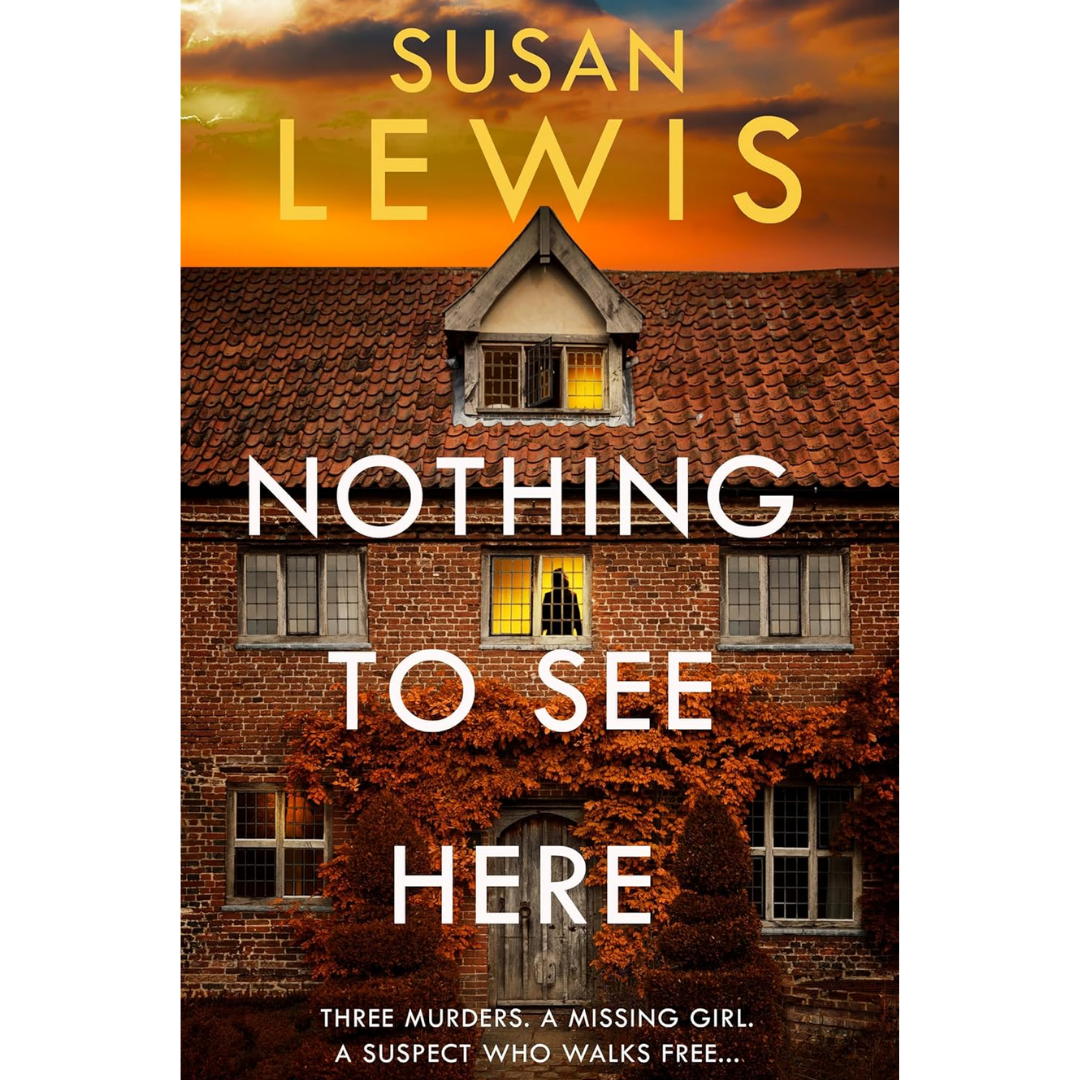 Nothing to See Here By Susan Lewis