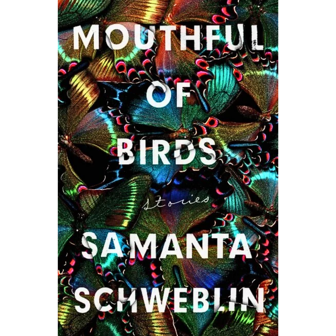 Mouthful of Birds By Samanta Schweblin