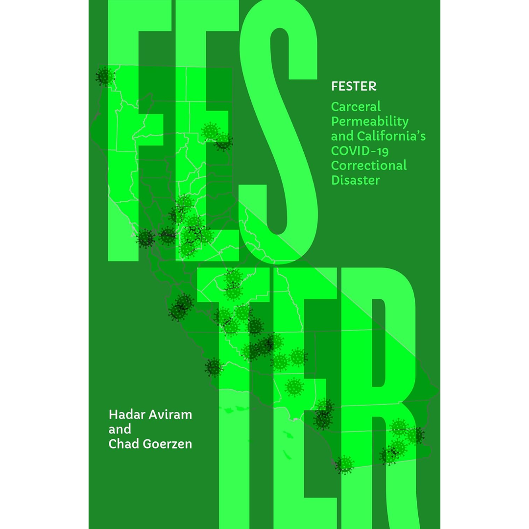 Fester By Hadar Aviram