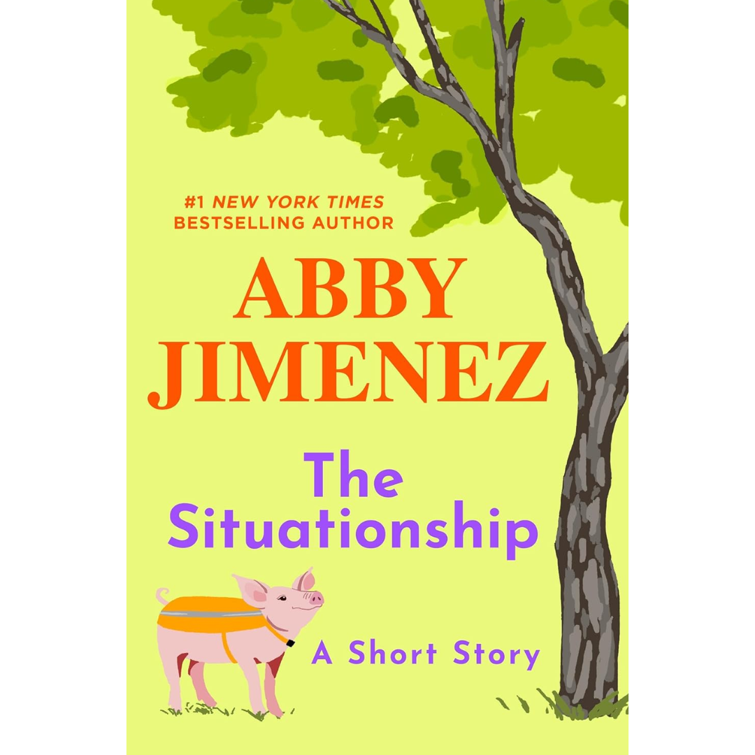 The Situationship By Abby Jimenez