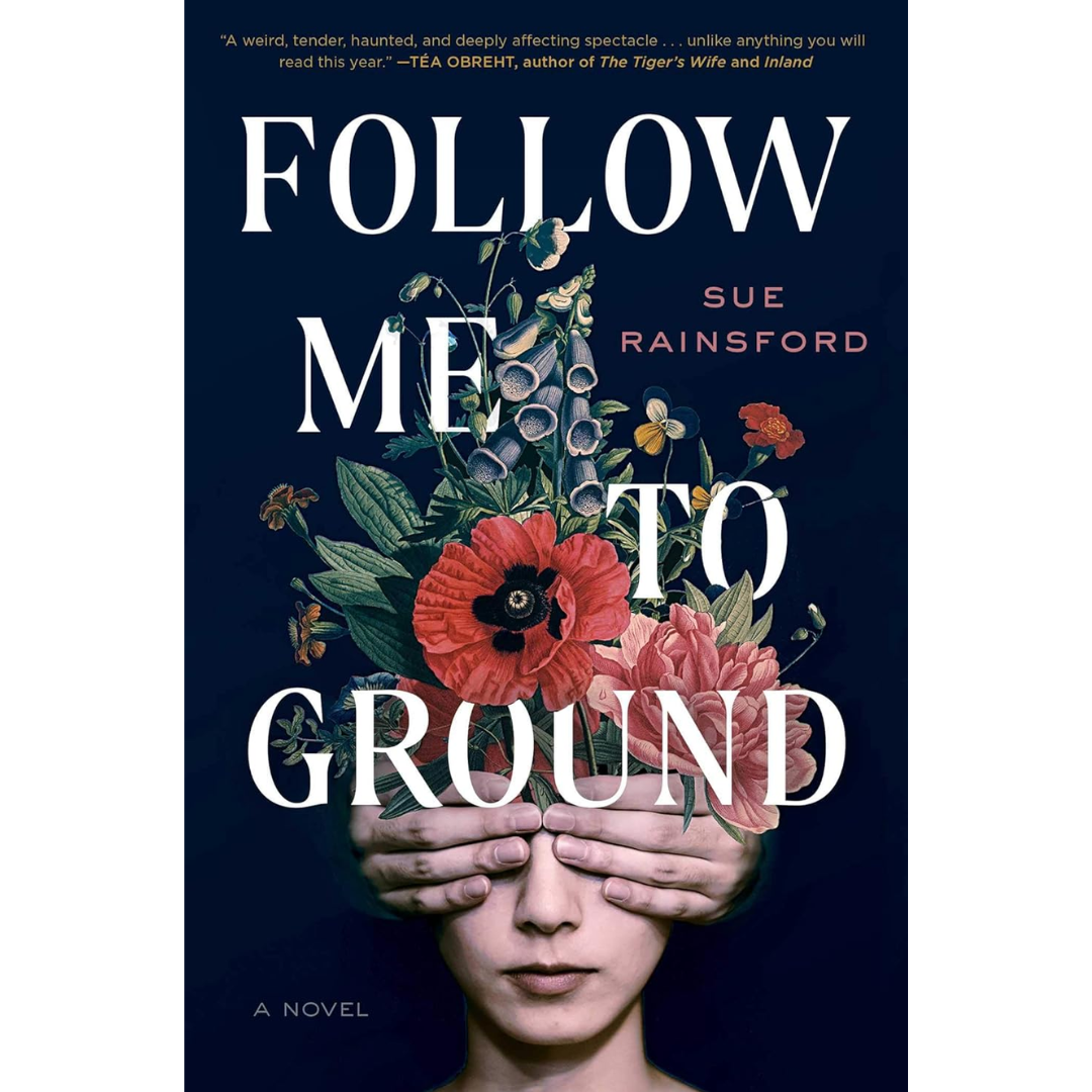 Follow Me to Ground By Sue Rainsford